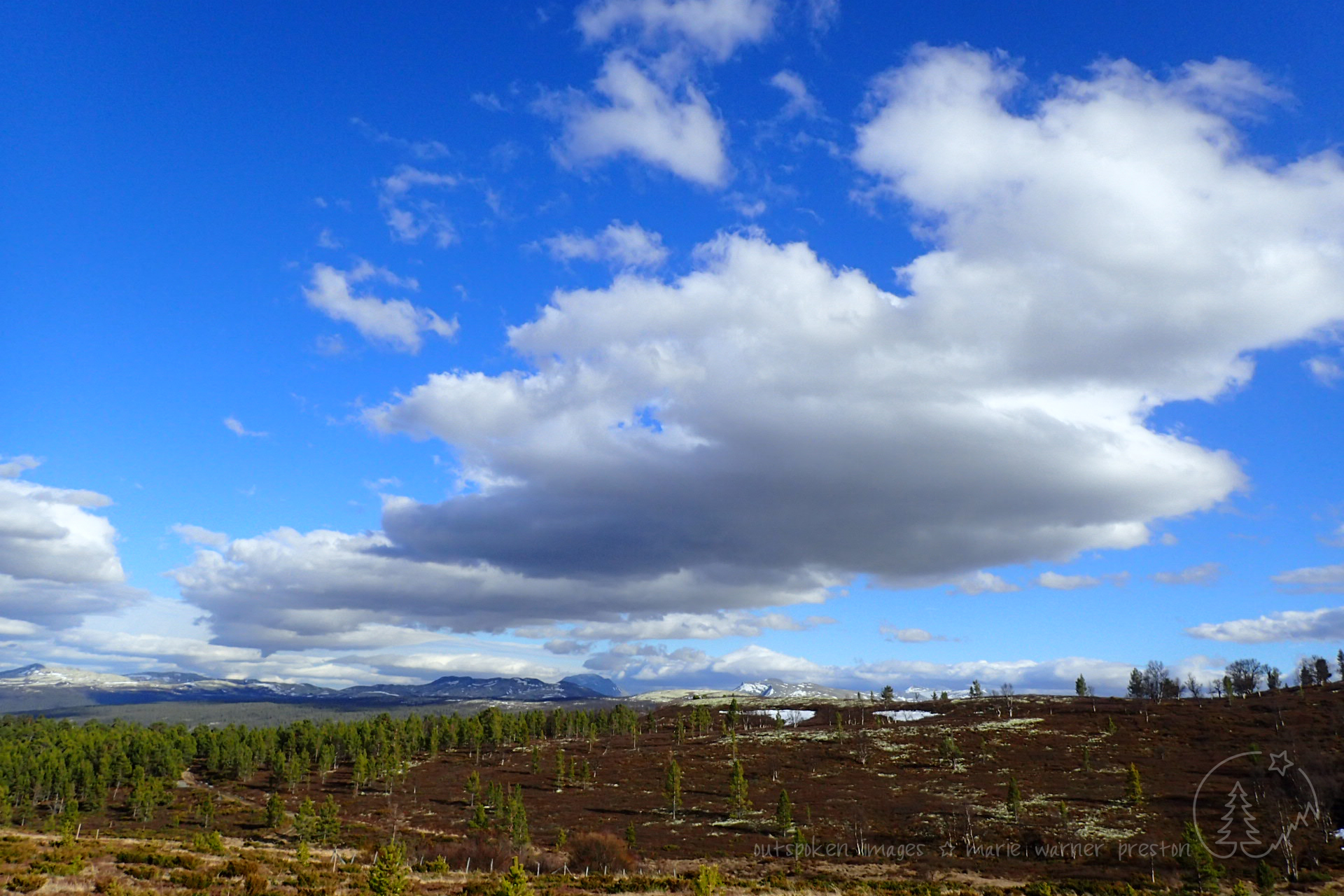 photograph: white clouds over blue mountains. trees on hill in foreground. Over the Mountain: Rondane, Norway. Photograph ©2022 Marie Preston